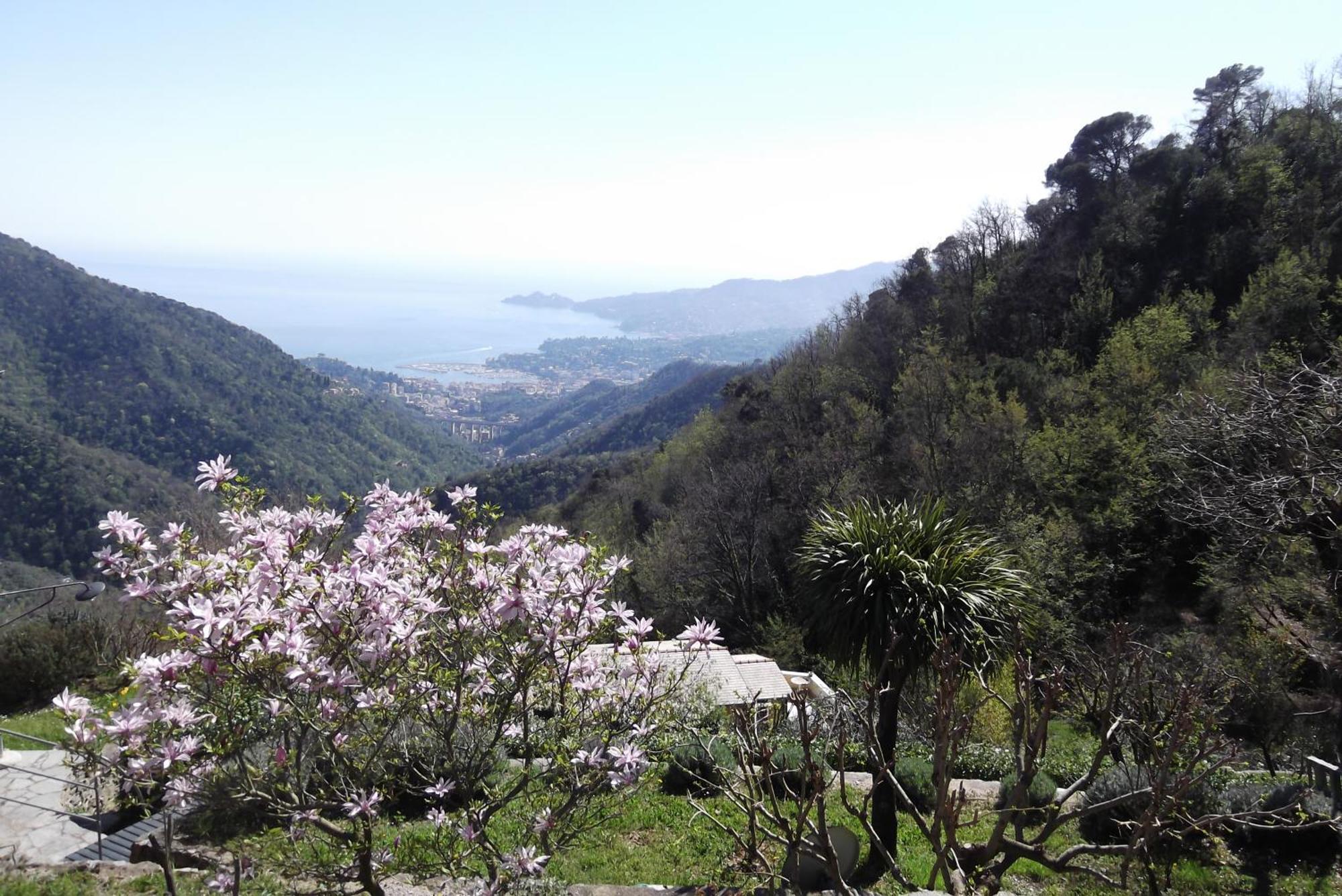 Appartement Vista Portofino à Rapallo Extérieur photo